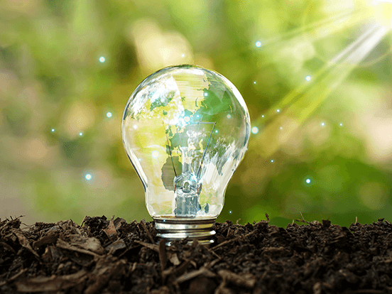 Glass lightbulb in forest